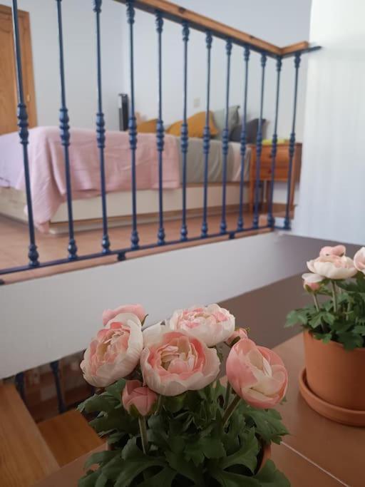 Casa Heli - Ruim Appartement Met Dakterras In Polopos Dış mekan fotoğraf