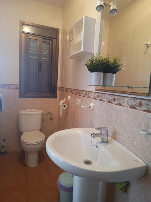 Casa Heli - Ruim Appartement Met Dakterras In Polopos Dış mekan fotoğraf